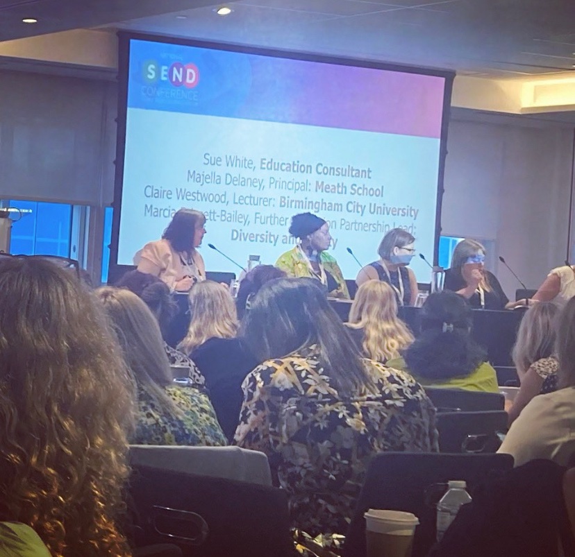 Claire_SLT's tweet image. Interesting time yesterday in London discussing ‘what works’ for SALT provision in schools at #SENDConference. 

Slightly dampened by all the trains being cancelled on the way back but I got home…eventually! #MySLTDay