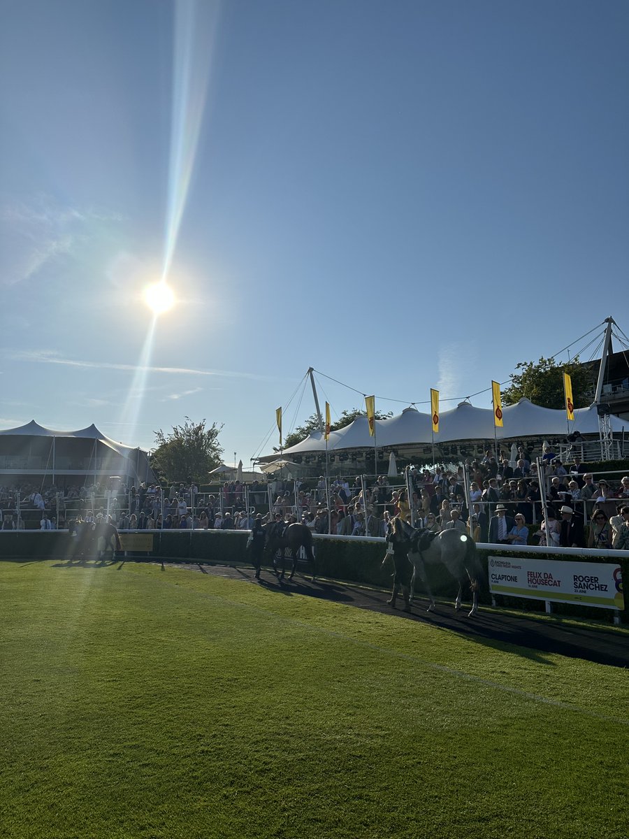 SuttonWinsonLtd's tweet photo. We were delighted to attend @GoodwoodRRC's Three Friday Nights a couple of weeks ago alongside a few of our clients 🏇

A big thanks to everybody who joined us on the day. Our team certainly had a great time experiencing the races and music, and we hope our clients did too! https://t.co/Sb73Q8ywg0
