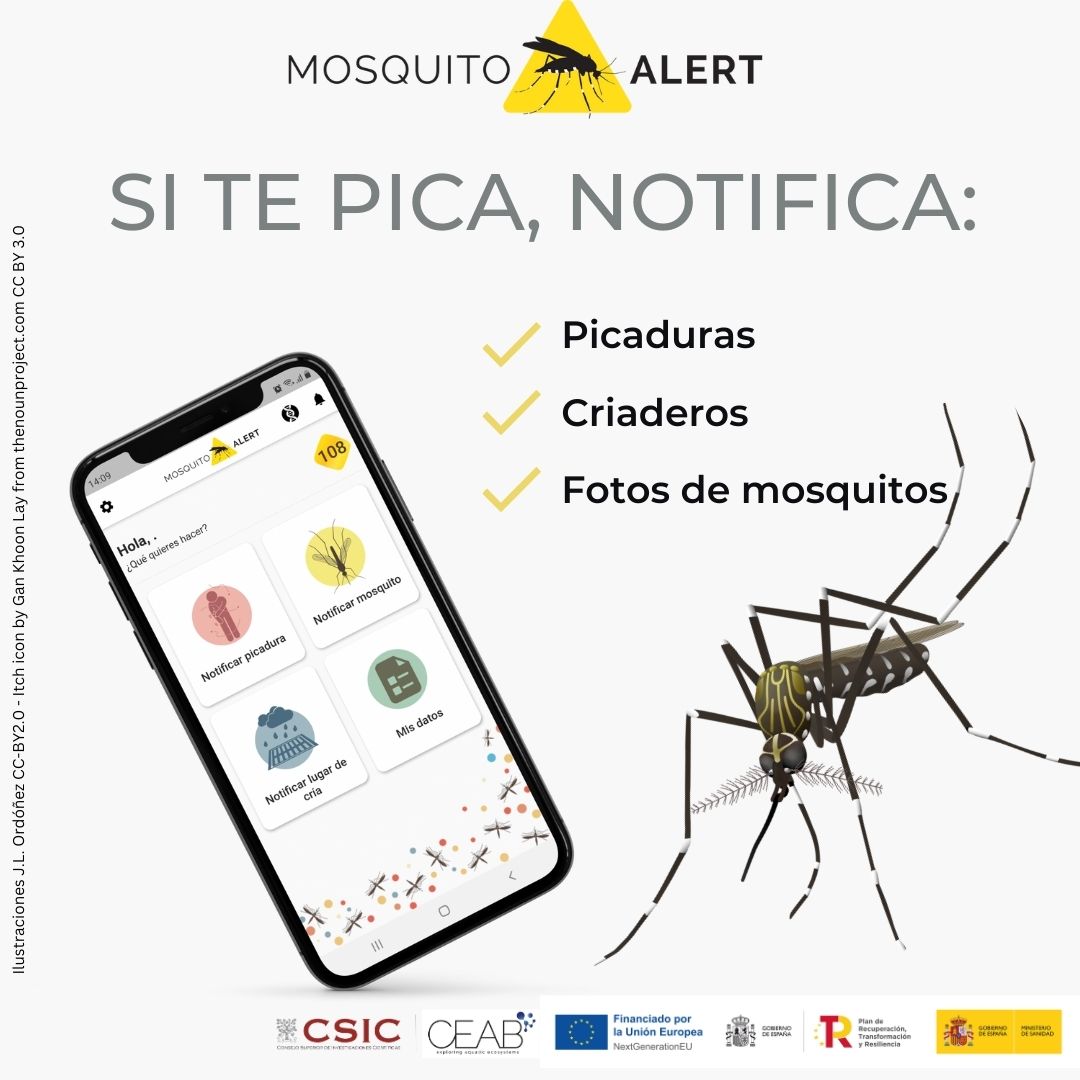 Existen más de 3.500 especies de mosquitos en el mundo

Algunas de ellas son responsables de la transmisión de enfermedades como dengue, Zika, chikungunya o Fiebre del Nilo Occidental  

Descarga #MosquitoAlert, hazle una foto y ayúdanos a identificarlo  

#SitePicaNotifica