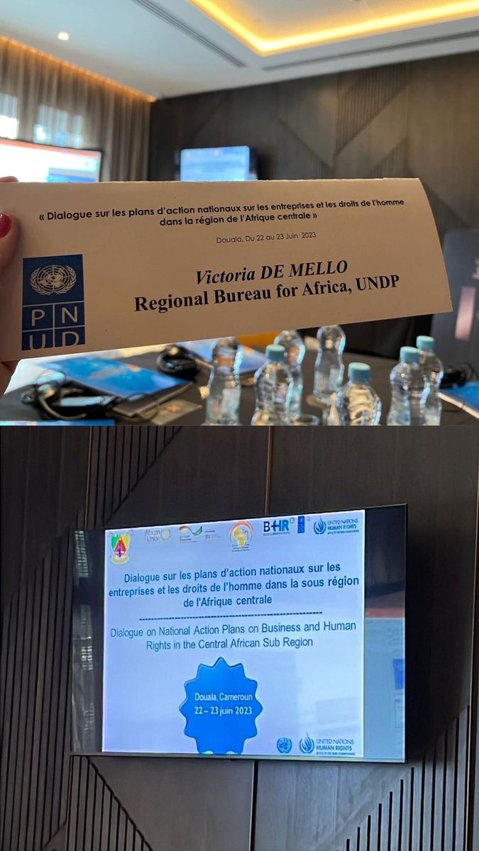 In Douala, Cameroon for the final sub-regional Dialogue on National Action Plans on Business and Human Rights. Follow us online at undp.zoom.us/j/81505007125?…