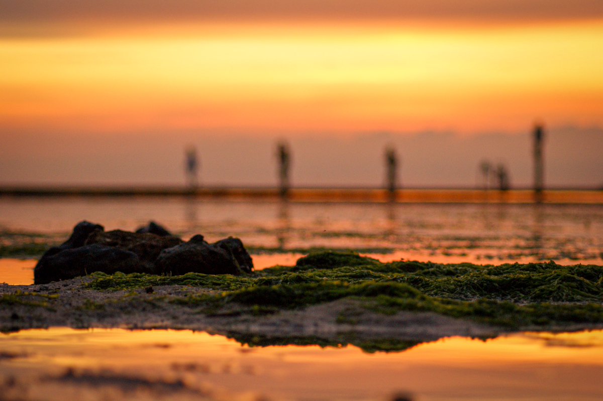 Wow what amazing views of the Summer Solstice at Walpole Bay😍🌅🏖️
#summersolstice #margate #walpolebay #thanet #kent #photography #photooftheday #summer #explore #discover #sunset #sunsetphotography #sunsetlovers #bbcsoutheast #itvmeridian #kentonline #sunsetsky #ThePhotoHour