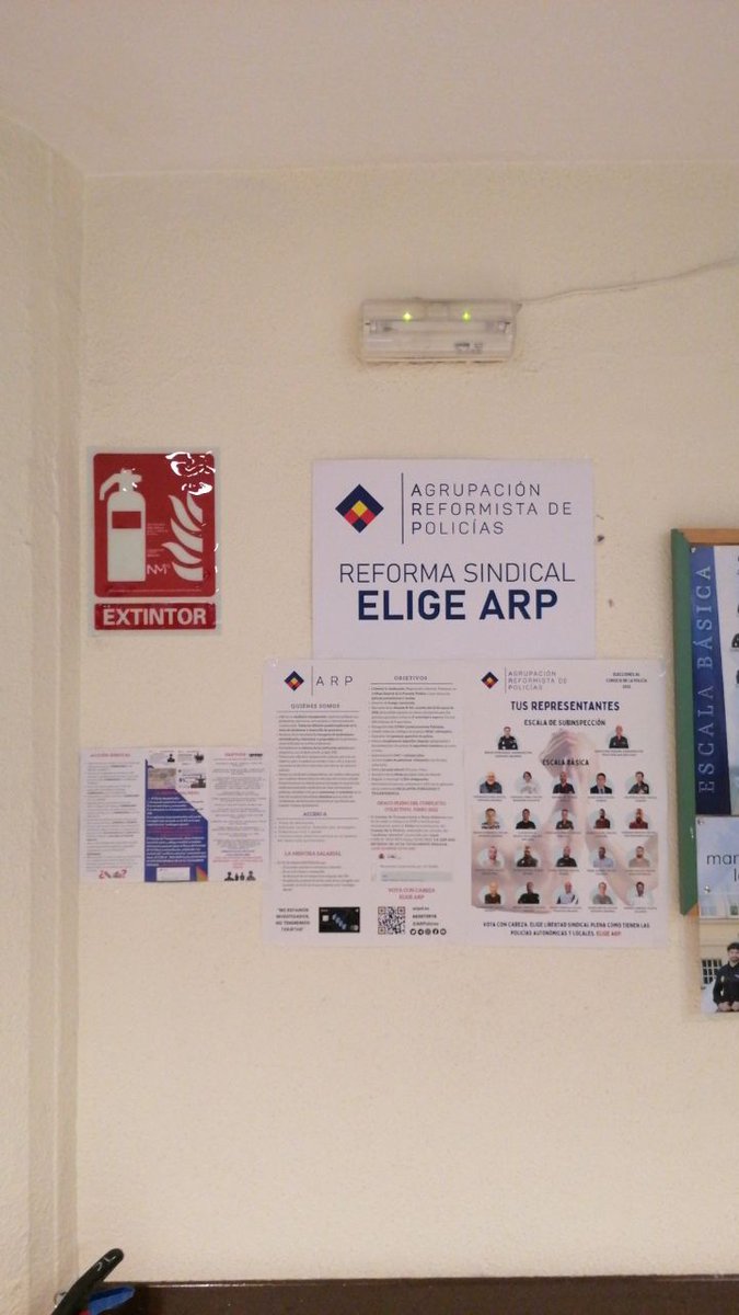 arp_madrid's tweet image. #TribunalConstitucional #DivisiónPersonal #GuíasCaninos #UPR