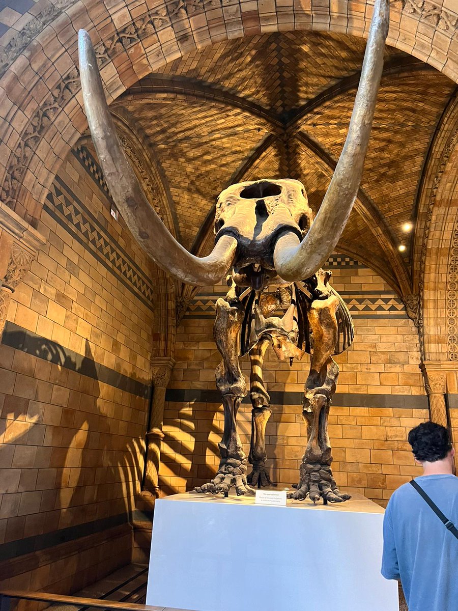 SOTCollege's tweet photo. #ChallengeLDN Day 2️⃣! 🎡

Staff and students had another busy day yesterday, visiting the National History Museum and London Eye, followed by a spot of shopping before the journey home.

An unforgettable experience for our learners. 🤩 https://t.co/OHVSEEp1yw