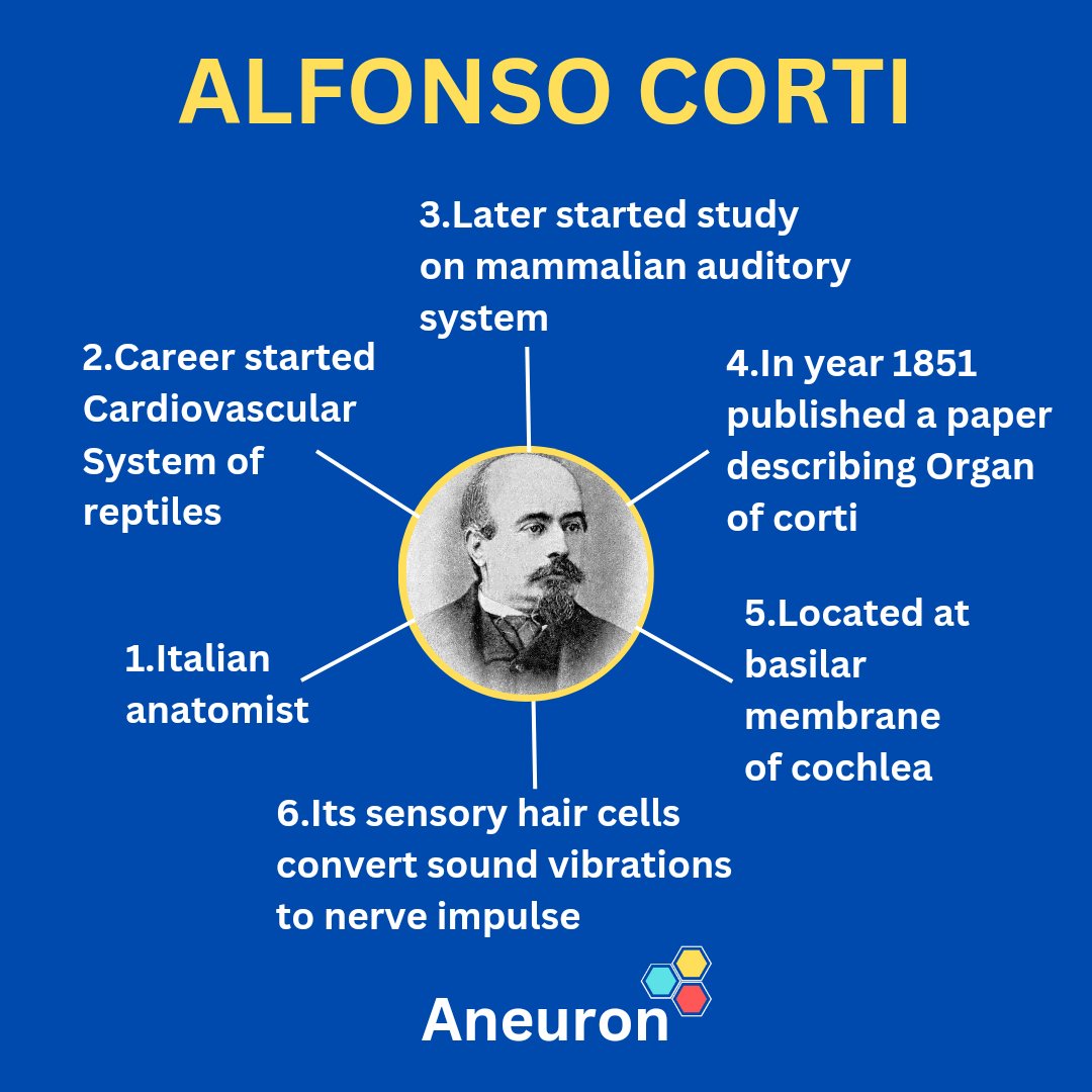 • Alfonso Corti (Italian, anatomist)

Follow us @aneuron4 ✌🏻

#neetexam #neetug #neet2024 #biology #zoology #science #scientist #aneuron #Instagram #important #ncertbiology
