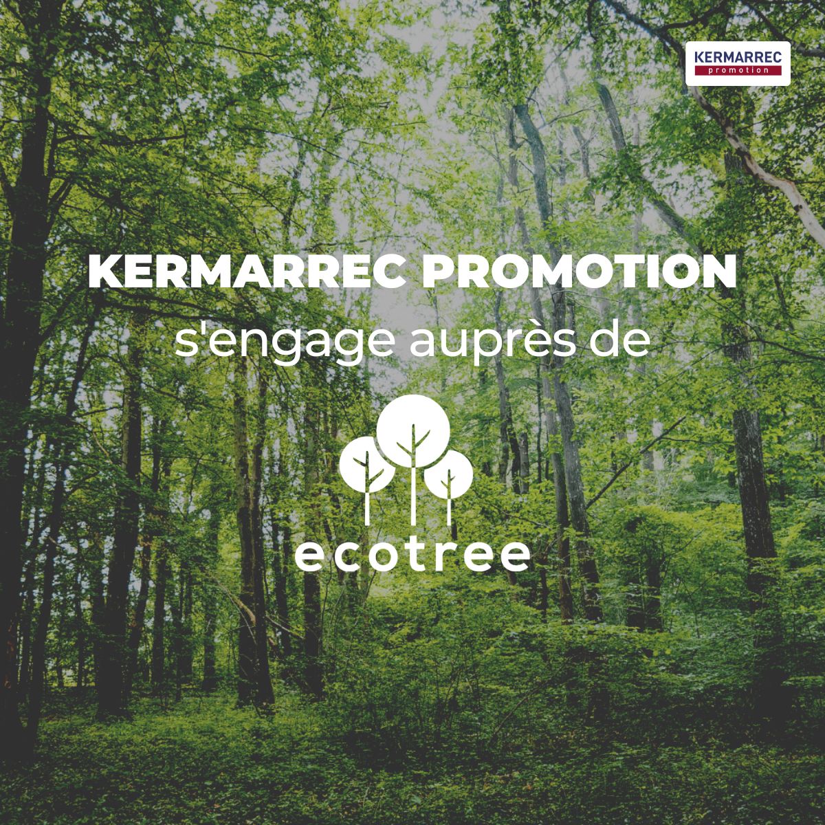 Nous avons le plaisir et la fierté de nous engager auprès d’ <a href="/EcoTree_contact/">EcoTree_France</a>  ! 🌳

Afin de contribuer à la préservation de l'environnement et de la #biodiversité, nous sommes devenus propriétaire de 1200 arbres plantés et gérés durablement dans la forêt bretonne de Ploërdut.