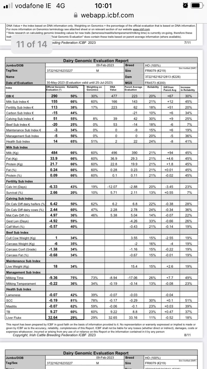 4 random bull calves I got tested because I liked the look of their mothers-will the national genotyping scheme completely alter the ebi of herds that aren’t genotyped and are these herds way under scored atm vgenoherd <a href="/JerryMoloney1/">Jerry Moloney</a> <a href="/CiaranOShea11/">Ciaran O'Shea 🐄🐄</a> <a href="/progressivegen/">Progressive Genetics</a> <a href="/doveagenetics/">Dovea Genetics</a>