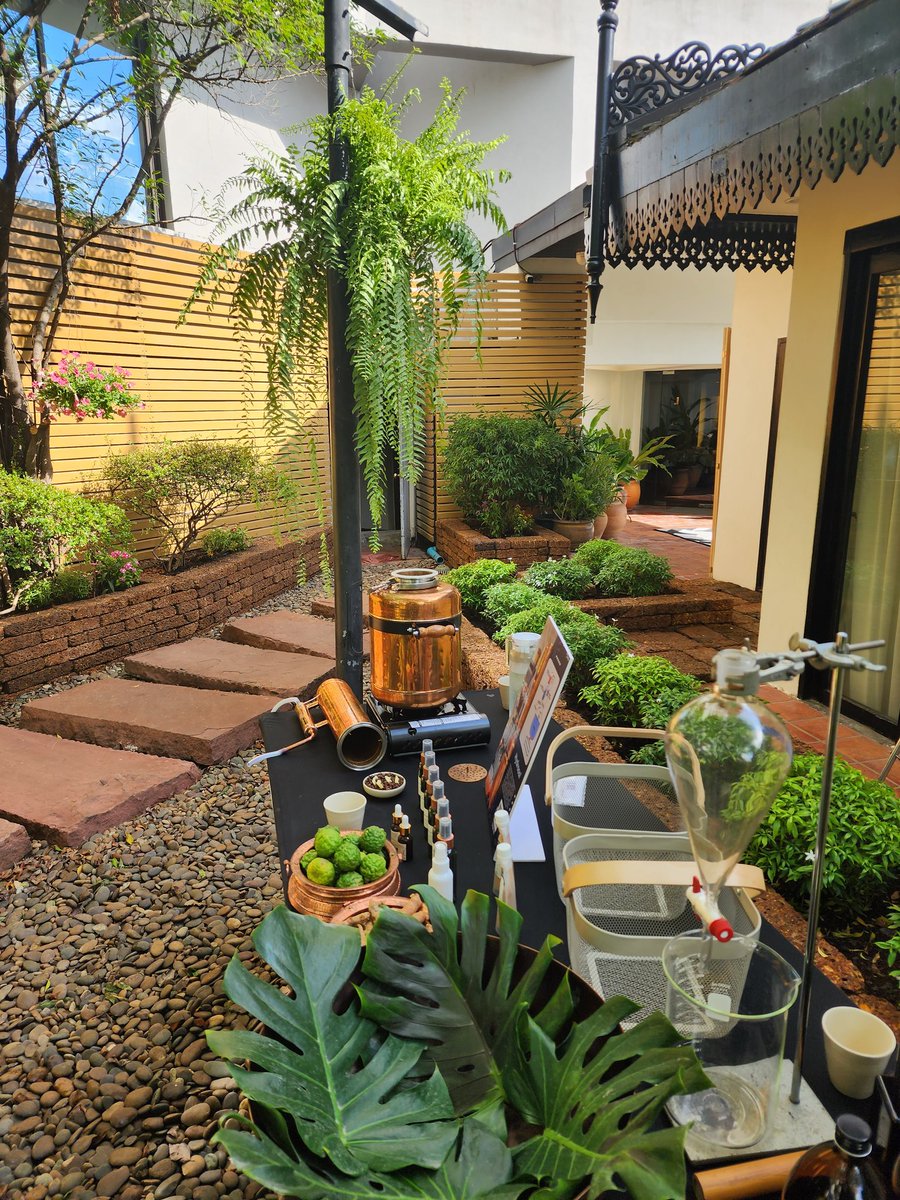 AlodiaOils's tweet image. Setting up for an outdoor distillation at 5.00 pm.
Hopefully it will be a tad cooler.
#alodis #spaproducts #distillation #hydrosol
