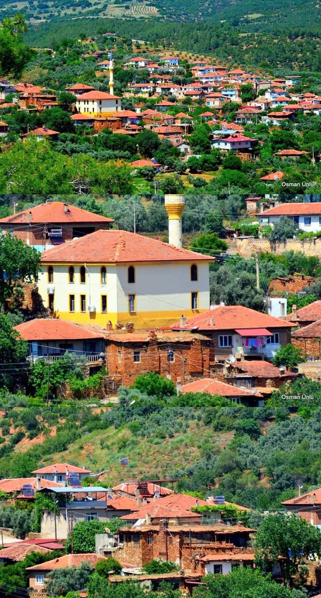 Good Morning...🌞🌱🏡🌷Happy Thursday...💮🌳🌲☕ Osman Ünlü 📸   Işıklar village, Aydın 🇹🇷
#CoffeeTime  #Blessings
#ThursdayMotivaton  #Blessings #PeaceGood #Peace #StaySafe  
#goodmorning #Καλημέρα
#bonjour #ThursdayGoodmorning #GoodMorningEveryone  
#Buongiorno #BuenosDias