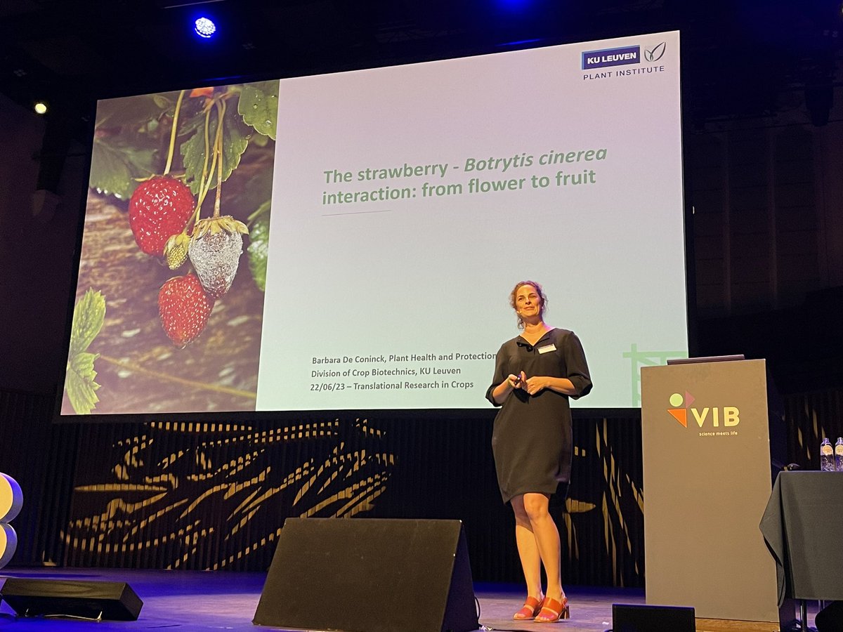 And now it’s the plant pathologists at #TRIC23 kicking it off with <a href="/BarbaraConinck/">Barbara De Coninck 🌱🌈</a> <a href="/KULeuvenOpenSc/">KU Leuven Open Science</a> 

 Chair: Julia Bailey-Serres