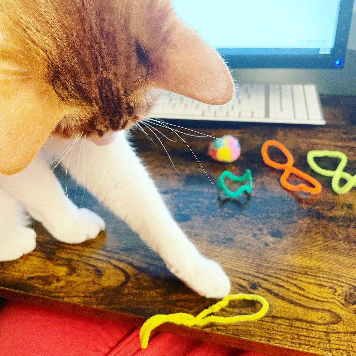 “This one is my favorite, but you can play with it.” 🥹