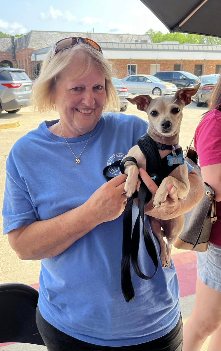 second_rescue's tweet image. Sweet Gypsy went to her forever home today at the Father’s Day Cars, Coffee &amp;amp; Breakfast Event at Goodwood Hardware &amp;amp; Outdoors! Thanks to the Boyd family for inviting us to be their guests &amp;amp; giving us an opportunity to bring our adoptable dogs to such a fun and exciting event!