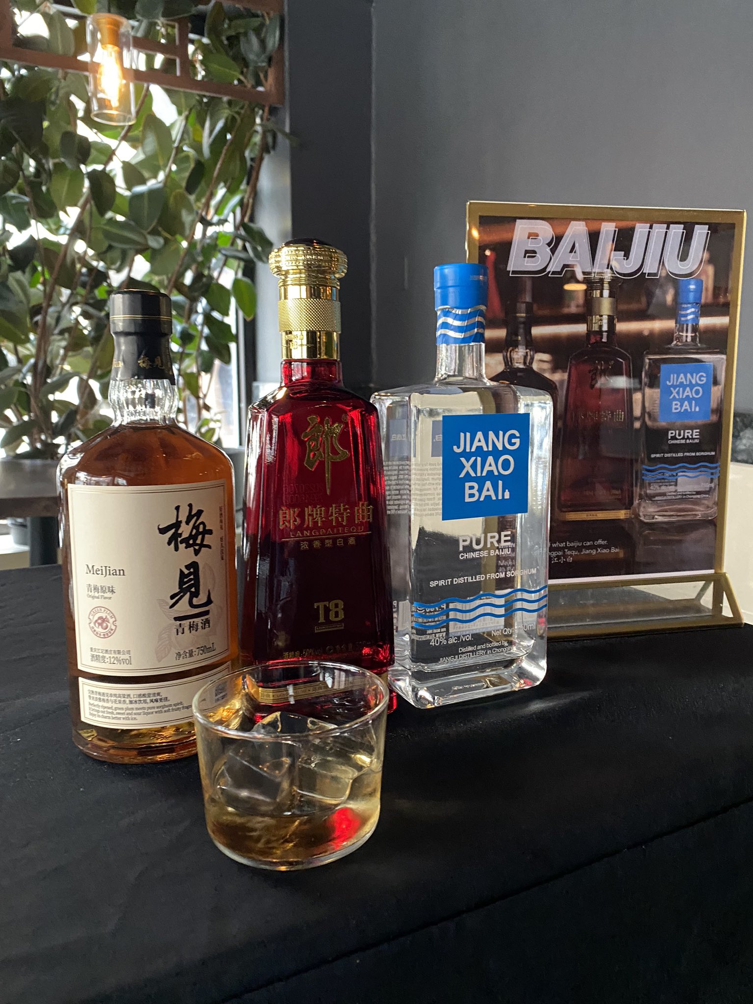 Evy Kwong on Twitter "INDULGING IN THE DRINK OF MY ANCESTORS