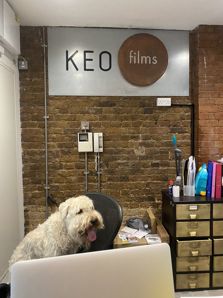 New office manager at @KEOfilms doing a great job