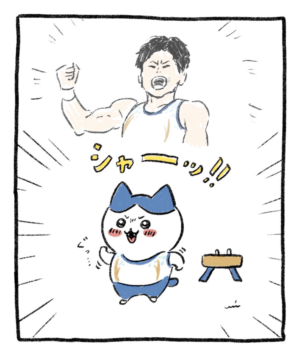 萱くんに憧れるハチワレちゃんの幻覚 