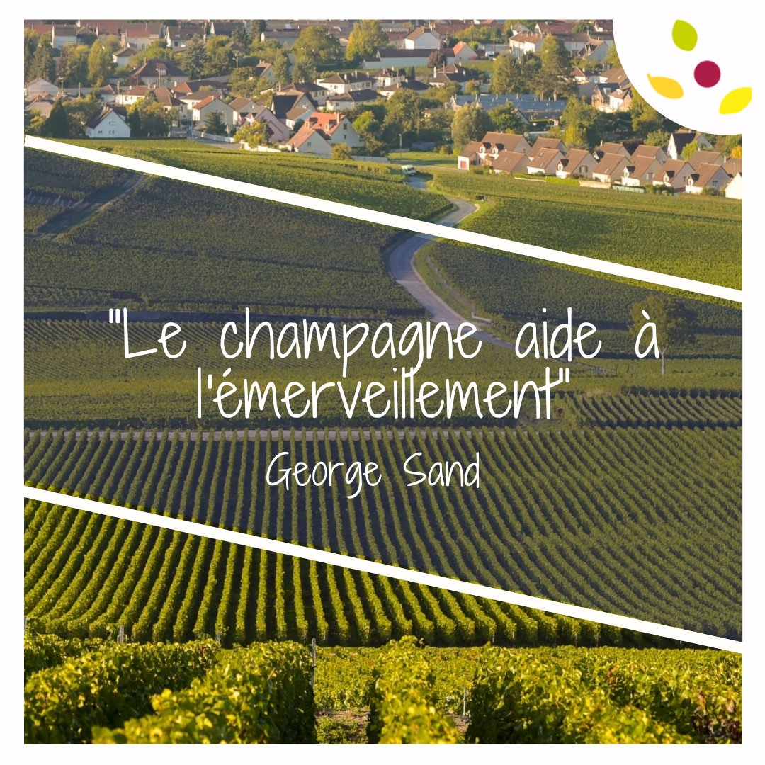Groupe_Compas's tweet image. 🍾✨ Compas - Où le #Champagne et l'émerveillement se rencontrent ! ✨🍾

Retrouvez nos #verres, ice-bags, #muselets sur notre site internet et dans nos magasins 

#Compas #Émerveillement #Vignerons #AccessoiresViticoles #MomentsMagiques #GroupeCompas #packaging #vigne #cave