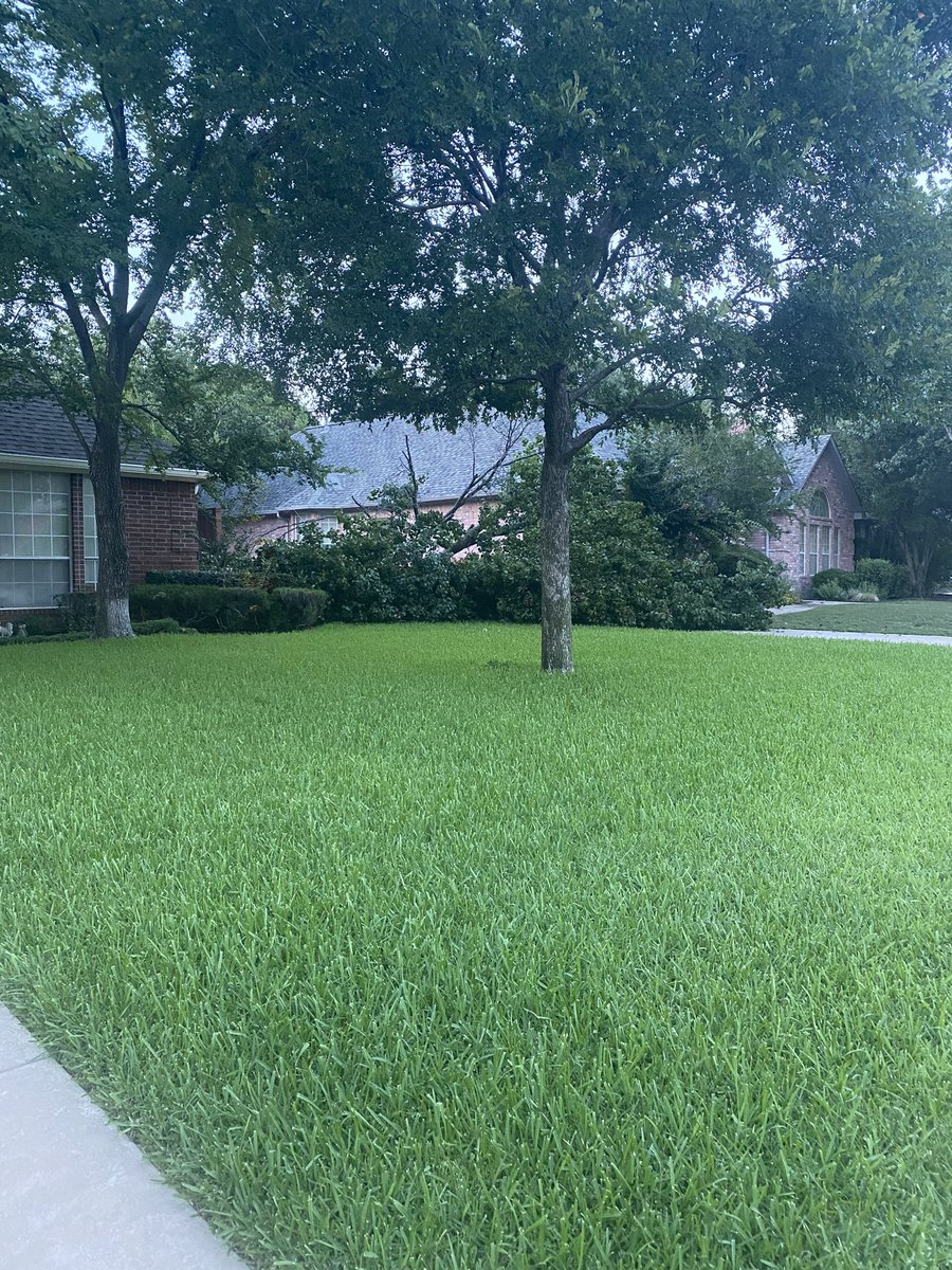 Wind yesterday in Denton  took big tree down in my next doors neighbor driveway missing my house by feet
Hoping for the best for lighting and landscaping on that side. I was very lucky it-did not hit my house or theirs!