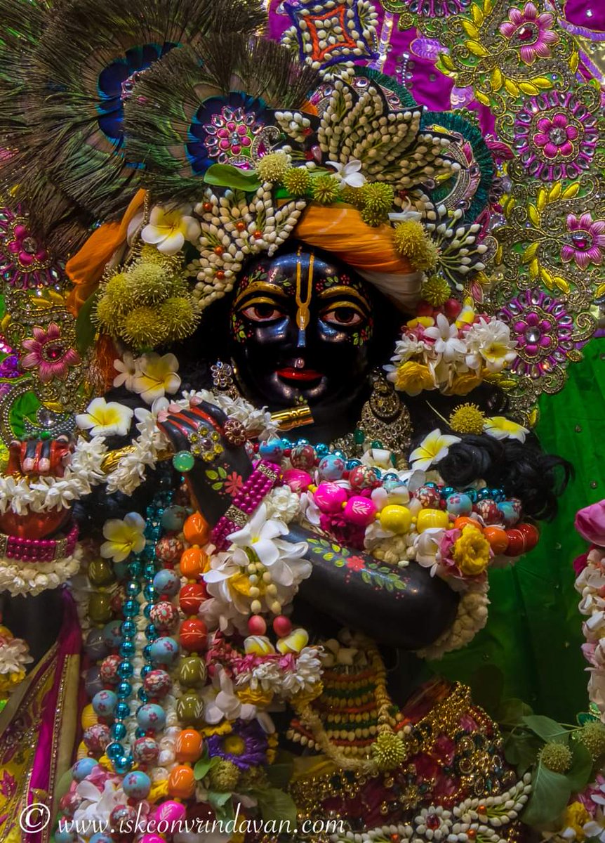 Jai Sri Krishna 🍁🌻☘️🍎