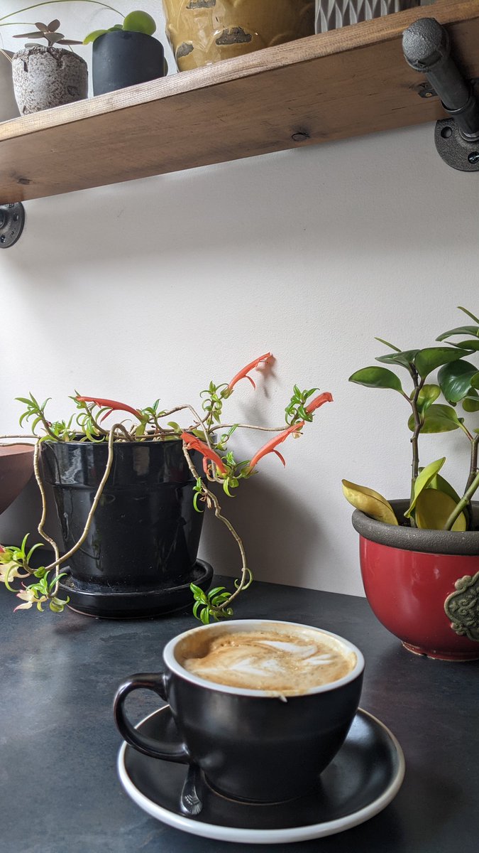 Grant writing at Papertown Coffee