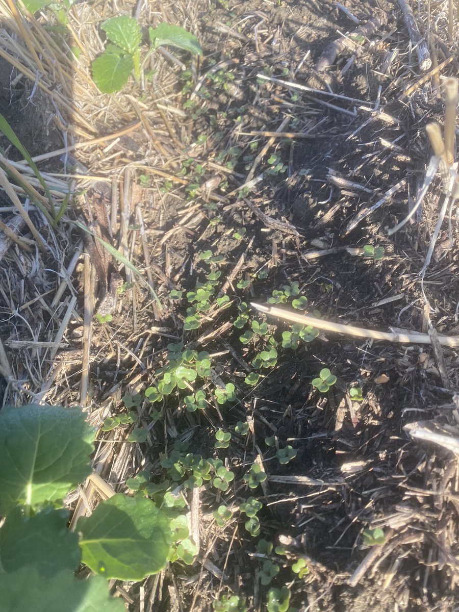 Beyond Agronomy tweet media