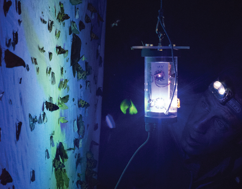 Something that might be of use to all the #InsectWeek23 enthusiasts out there.

By far, our most popular article ever published - it describes a newly developed LED lamp set for using in the field that is lightweight, handy, robust, and energy efficient: doi.org/10.3897/nl.40.…
