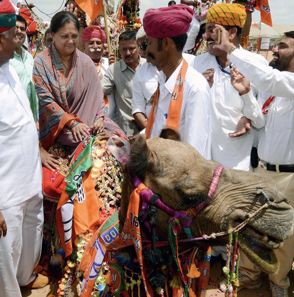 ऊंटों को संरक्षित करने के लिए हमारी भाजपा सरकार ने वर्ष 2014 में ऊंट को राज्य पशु घोषित किया था। वहीं उष्ट्र विकास योजना का संचालन कर ऊंटनी के प्रसव पर ऊंट पालकों को 10 हजार रु की आर्थिक सहायता भी प्रदान की। इतना ही नहीं हमने राजस्थान में भामाशाह पशु बीमा योजना की शुरुआत कर सभी…