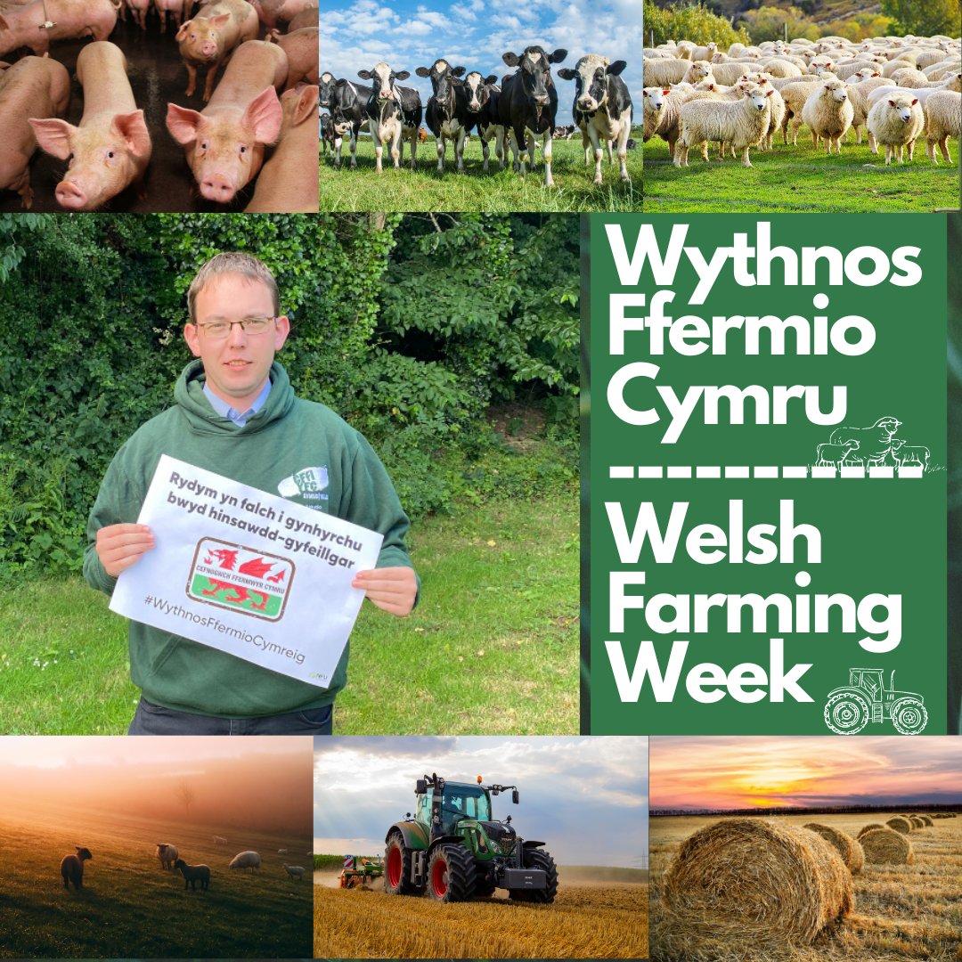 WalesYFC's tweet photo. We are proud to support Welsh farmers! 🏴󠁧󠁢󠁷󠁬󠁳󠁿🐑

#WythnosFfermioCymru #WelshFarmingWeek #cffiyfc 

@NFUCymru 🚜🐄🐷 https://t.co/ZUhXAHLodR