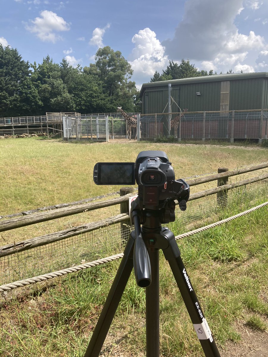 Emily Erith tweet media