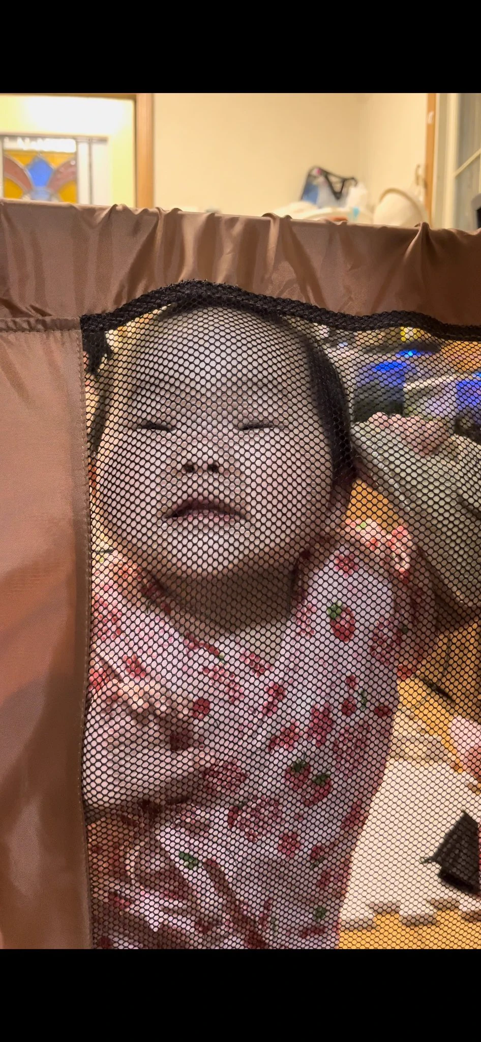 ややバズしてもなんも宣伝することないのでうちのちびでも見ていって 