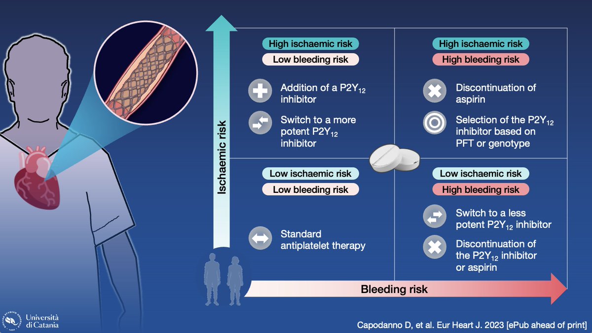 Davide Capodanno (@dfcapodanno) on Twitter photo We wrote an article to provide a comprehensive overview of the current state of the art and future trends in personalised antiplatelet therapy for patients with coronary artery disease, with emphasis on those presenting with an ACS and undergoing PCI. academic.oup.com/eurheartj/adva… We wrote an article to provide a comprehensive overview of the current state of the art and future trends in personalised antiplatelet therapy for patients with coronary artery disease, with emphasis on those presenting with an ACS and undergoing PCI. academic.oup.com/eurheartj/adva…