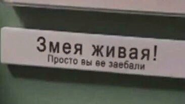 asmilskalns's tweet photo. Пытаюсь писать в заметках вещи, за которые я благодарен.
Три вещи, которым я благодарен сегодня.
- Я не сдох после первого рабочего собеседования
- Я не сдох после второго рабочего собеседования
- Третье собеседование перенеслось на понедельник https://t.co/fMo04MwKoB