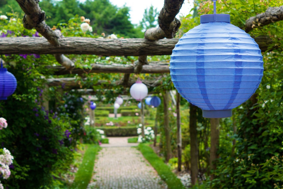 DiscoverLINY's tweet photo. Picnic under the stars at @oldwestburygard this weekend on June 23rd-24th for their #MidsummerNights event 🌟🌙 #DiscoverLongIsland
Prepare to be dazzled as the #Gardens come alive with lanterns, charming wreaths and floral displays! 🌷
https://t.co/583Y5SuXHv https://t.co/yixPOfZBOG
