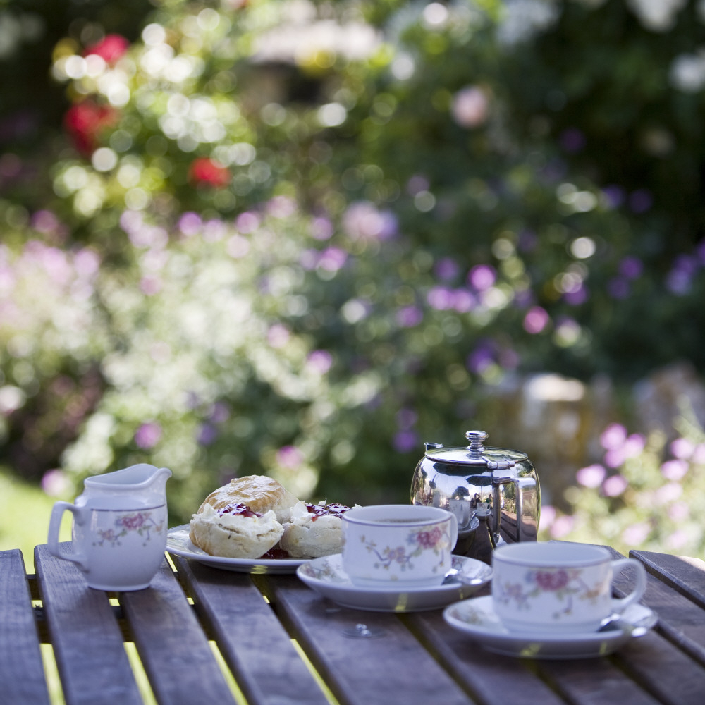 Happy #NationalCreamTeaDay

Just in case you needed an excuse to enjoy a beautiful Devon cream tea...

#NationalTrustDartmoor #CreamFirst