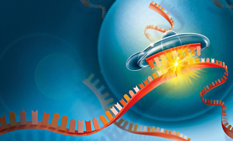 Gene Therapy (@genetherapy_sn) on Twitter photo Trending now is a 2004 #GTReview out of <a href="/VanderbiltU/">Vanderbilt University</a> discussing the therapeutic potential of #siRNAs. For more, join our #GTReaders here now ➡️ nature.com/articles/33023…
📸: ©iStock Trending now is a 2004 #GTReview out of <a href="/VanderbiltU/">Vanderbilt University</a> discussing the therapeutic potential of #siRNAs. For more, join our #GTReaders here now ➡️ nature.com/articles/33023…
📸: ©iStock