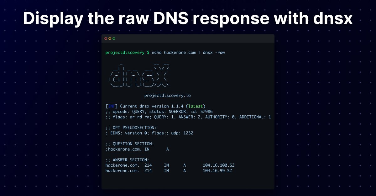 If you prefer viewing the raw DNS  response from your DNS enumeration tools you can use the dnsx -raw option! 👇 

Install now 👉 github.com/projectdiscove…

#hackwithAutomation #DNSenumeration #recon