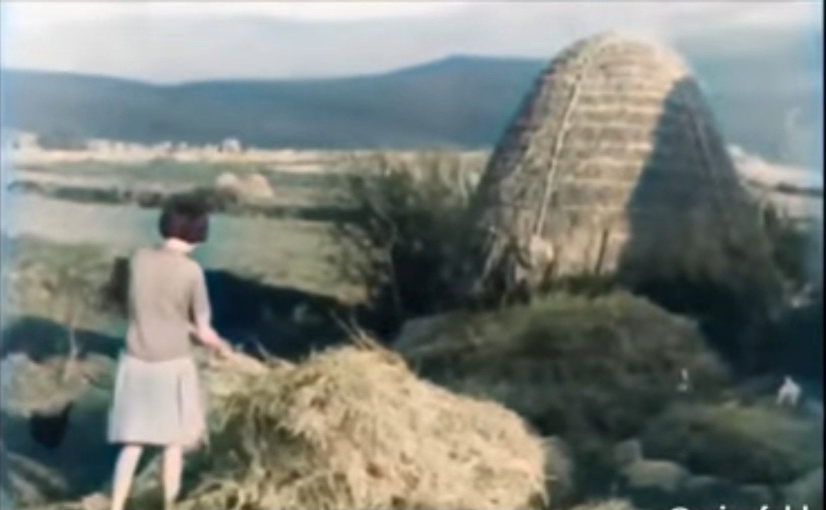 Sean Dineen on Twitter "Old Ireland remembered https//t.co/HAlSTCGomn