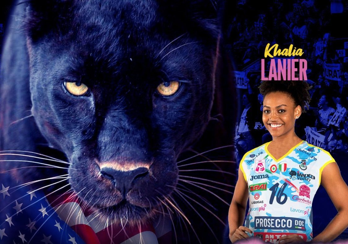 AvidVolley tweet media