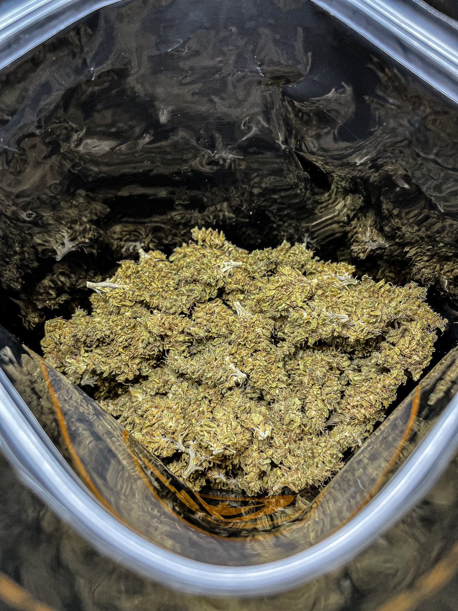 GodZilaz420's tweet photo. หวานเจี๊ยบบบบ 🥰
#พัฒนากัญอย่างยั่งยืน #BsCannabis420 #กัญชา #กัญชาปราจีนบุรี #ปราจีนบุรี #บ้านสร้าง #บางกระเบา #ช่อดอกกัญชา #ดอกไม้ #คีฟ #og #organic #weed #kief #KD #syrup #Cannabis #greencrack #midgrade #topshelf #exotic #กัญชาไทย #KDKT #KDBT #Godfather https://t.co/zv0LHQO1Ad