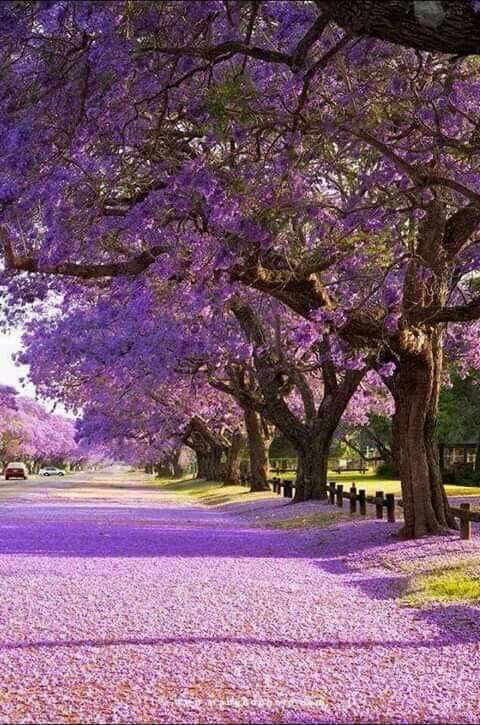 h e l e n a ☃️🌸🍁 tweet media