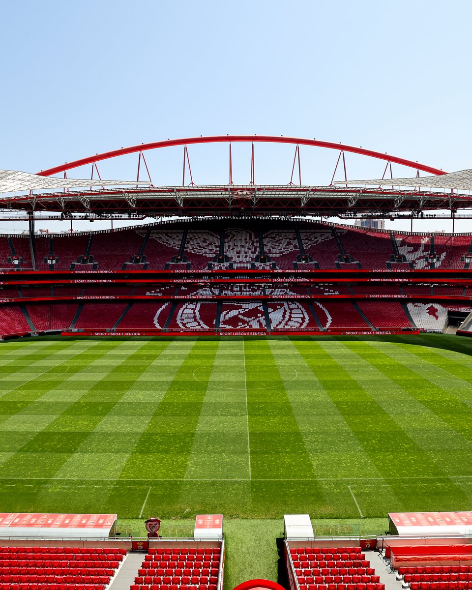 🥺 Quem já tem saudades de 𝗖𝗔𝗦𝗔?

#EuAmoOBenfica