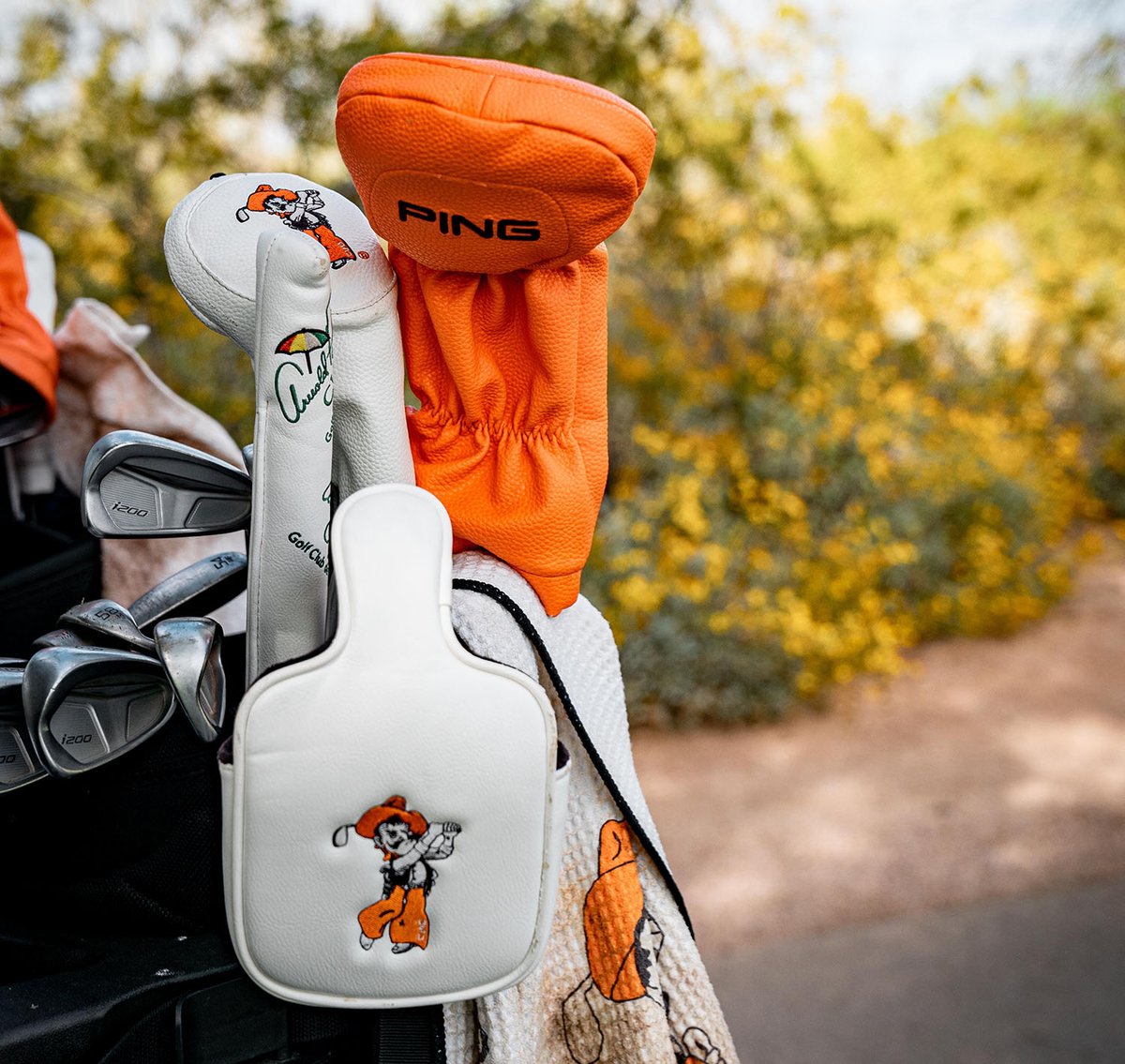 A graphic couldn't hold the Pro Pokes this week ...

<a href="/PGATOUR/">PGA TOUR</a> — Austin, Sam, Wyndham, Kevin, Rickie, Viktor

<a href="/KornFerryTour/">Korn Ferry Tour</a> — Kevin, Kris, Zach, Bo, Brendon, Hayden

<a href="/DPWorldTour/">DP World Tour</a> — Jonas (A), Rasmus

#GoPokes | #golfschool