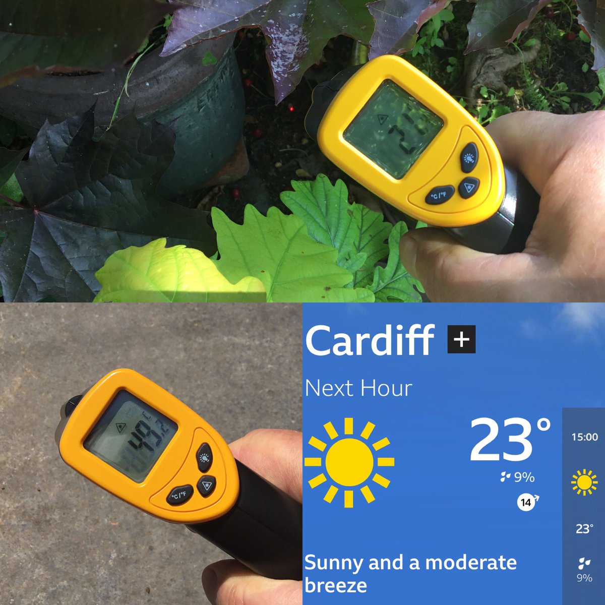 3pm #Cardiff ambient temp 23°C

✅ top a dark slate surface shaded by a large tree above, & by smaller trees below - approx 21°C

❌ bottom left, same surface that’s been in full sunshine - approx 49°C

🔆 an example of a ‘heat island’- #HeatWaveUK

🆒 Stack #NatureBasedSolutions