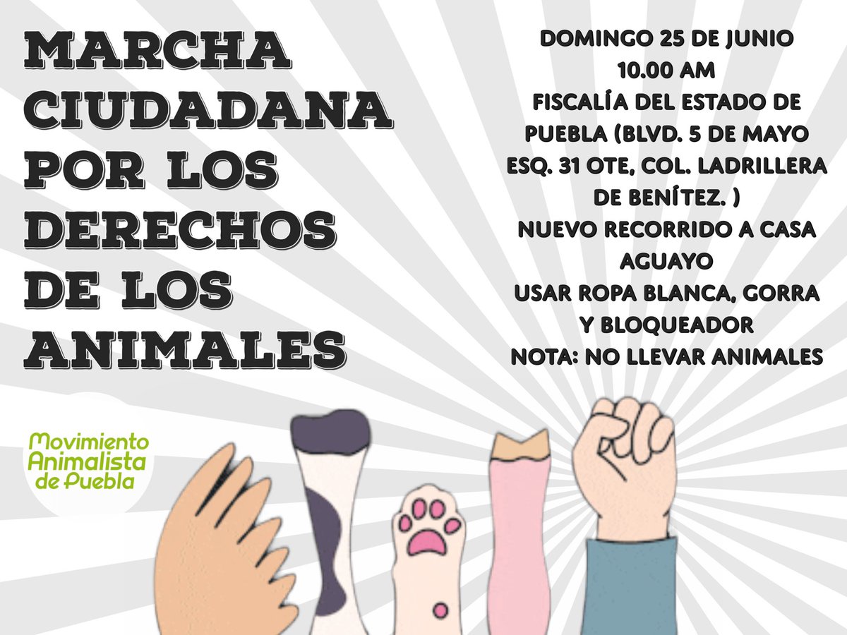 Movimiento Animalista de Puebla tweet media