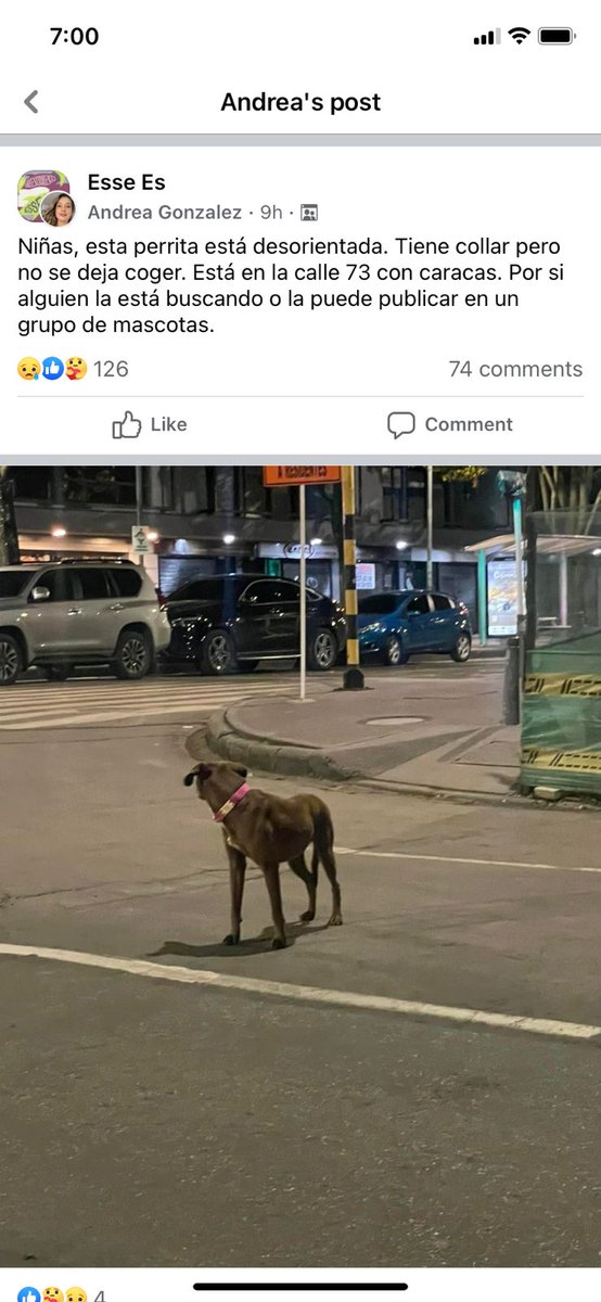 Ana Maria Diaz (@namarievenstar) on Twitter photo 🆘 Servicio social 🆘 Perrita perdida vista en la caracas con 73, Bogotá. Por si sus dueñosa están buscando. 🙏🏽🐾🐾
<a href="/losbuscamos_col/">Animalitos Perdidos</a> <a href="/PoliciaBogota/">Policía Metropolitana de Bogotá</a> <a href="/AnimalesBOG/">Protección Animal Bogotá</a> 🆘 Servicio social 🆘 Perrita perdida vista en la caracas con 73, Bogotá. Por si sus dueñosa están buscando. 🙏🏽🐾🐾
<a href="/losbuscamos_col/">Animalitos Perdidos</a> <a href="/PoliciaBogota/">Policía Metropolitana de Bogotá</a> <a href="/AnimalesBOG/">Protección Animal Bogotá</a>