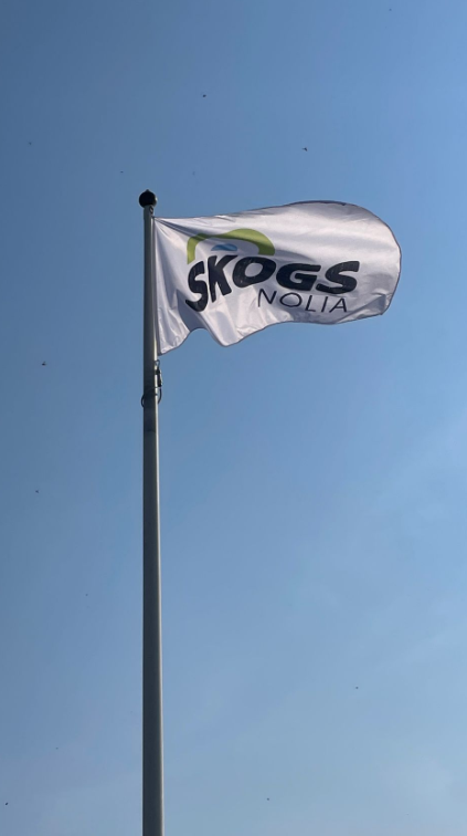 NextLand tweet media