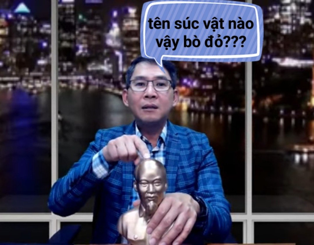 Băng đảng mafia việT cộnG ☠️ tweet media