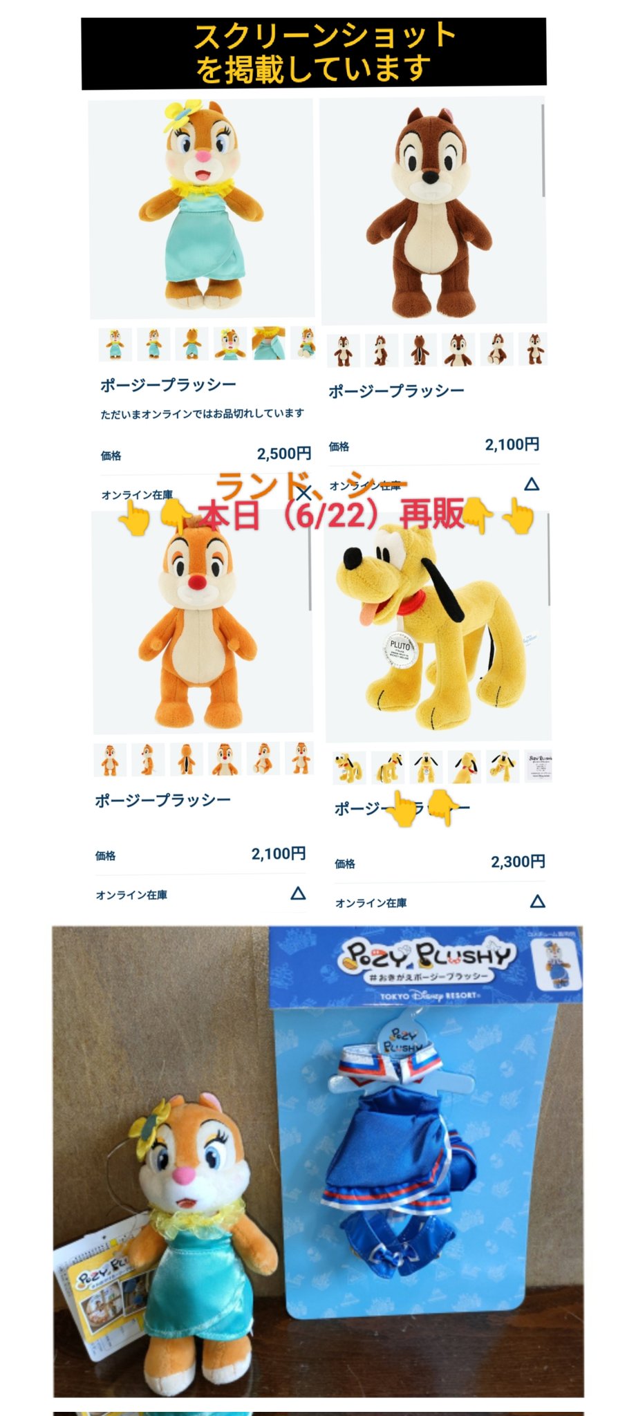 ディズニー 35周年 グランドフィナーレ ポージープラッシー ミッキー&ミニー 新品タグ付き 即決