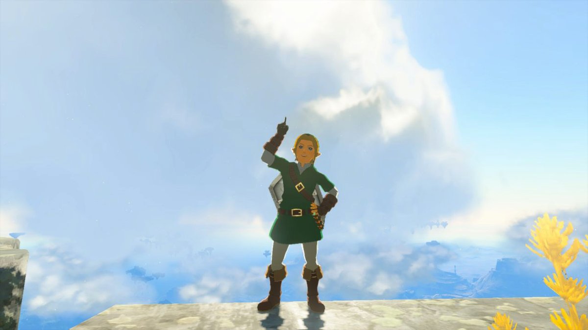 Ocarina of time set acquired! #TearsOfTheKingdom #Zelda #NintendoSwitch