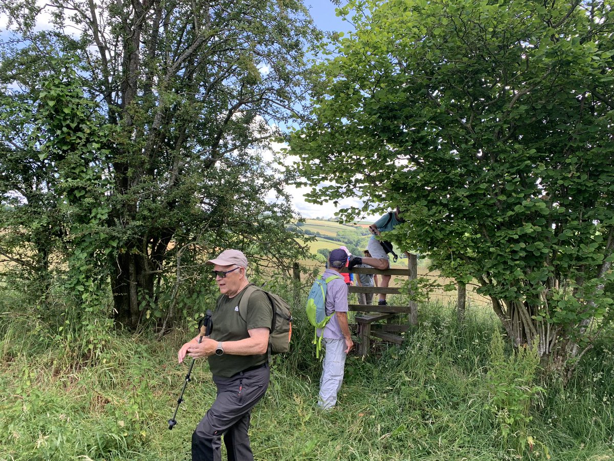 finstumpf's tweet photo. Testing a more arduous @RamblersCymru #PathToWellbeing on #Grosmont villagers this morning. 
Couple of tweaks will make it easier and will discuss them with @MonCountryside 

@visit_mon @VisitAberG @LoveYFenni @MonmouthshireCC https://t.co/XGRLbljkom