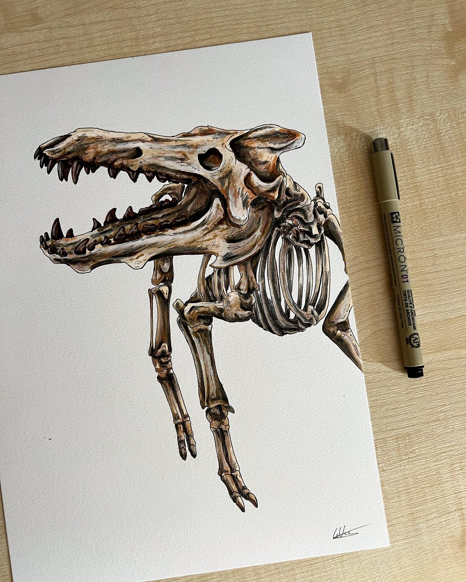 Grace Varnham tweet media