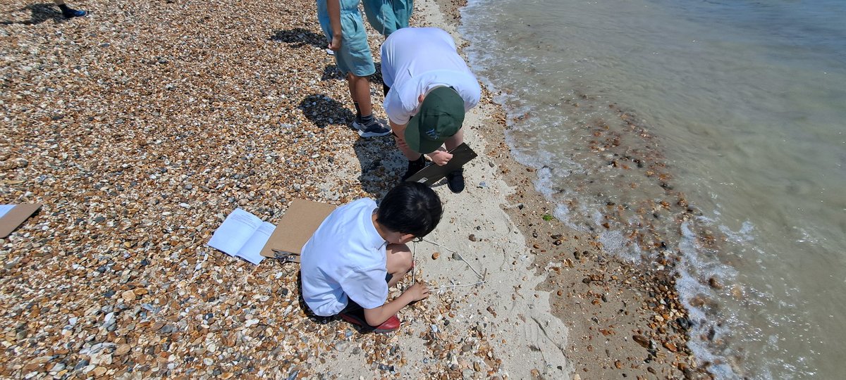 HamiltonAcadY4's tweet photo. Plenty more fieldwork followed, including beach profiles (look forward to a cup of beach heading home very soon!) and sketches of a square of sand.#Southsea2023 https://t.co/Id8iIASyBL